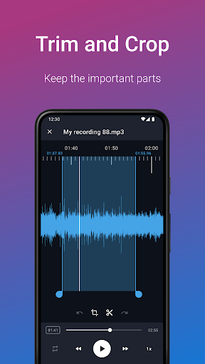 Easy Voice Recorder Pro store screenshot 5