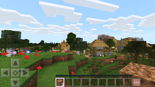 Block Crazy Craft World 商店截图 5