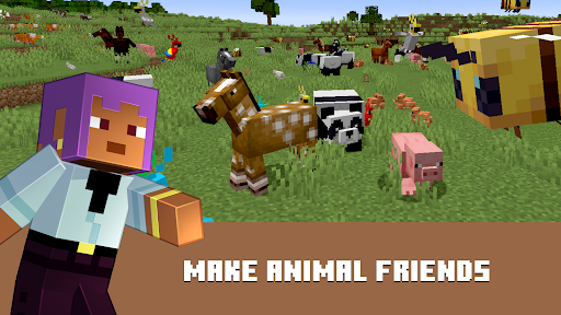 Minecraft: Dream it, Build it! 商店截图 3