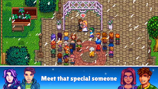Stardew Valley 商店截图 5
