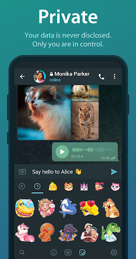 Telegram 商店截图 4