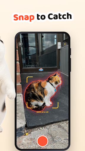 Cat Collector: Catch Real Cats store screenshot 2