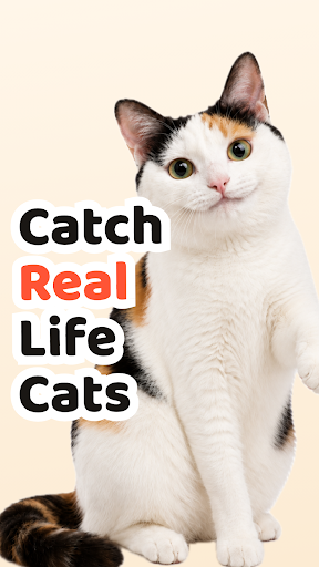 Cat Collector: Catch Real Cats store screenshot 1